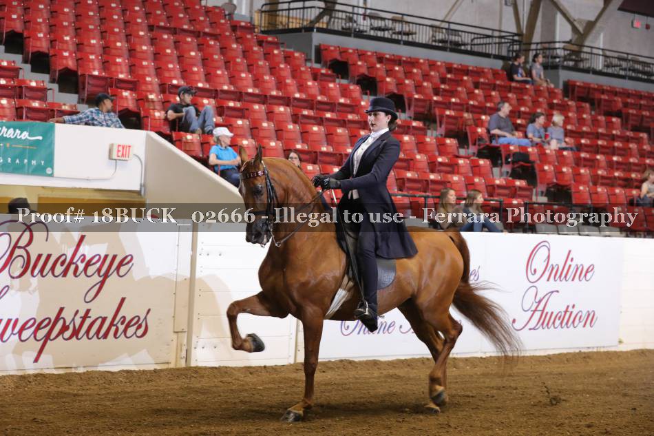 Proof 18BUCK_02666