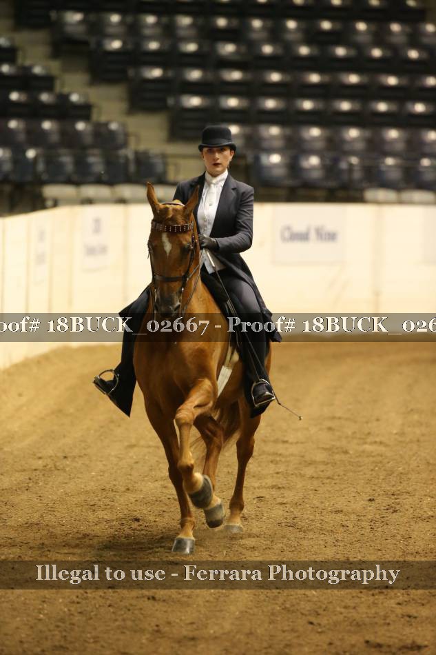 Proof 18BUCK_02667