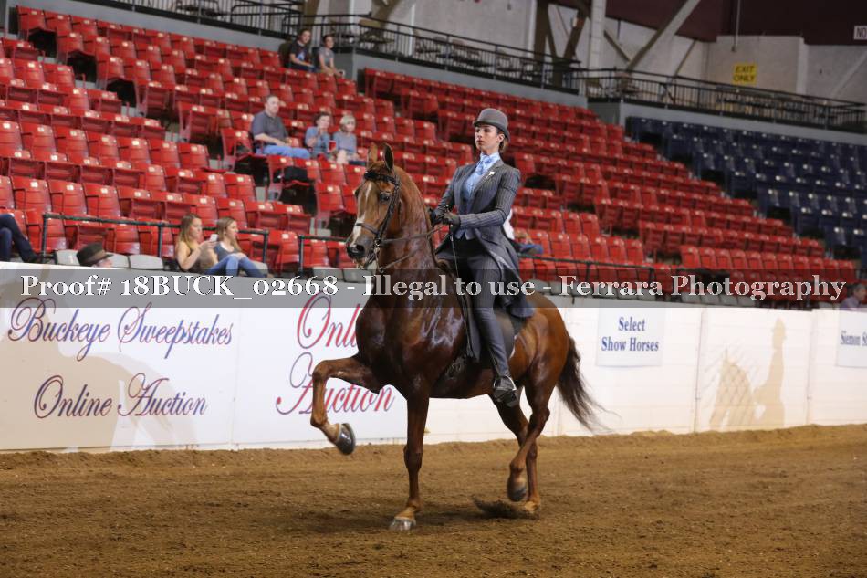 Proof 18BUCK_02668