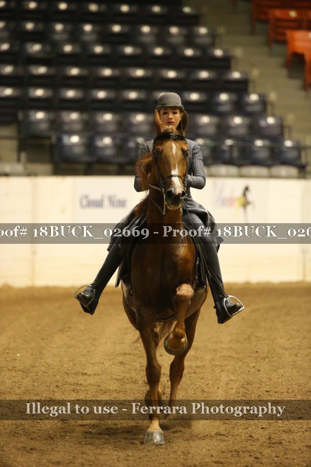 Proof 18BUCK_02669