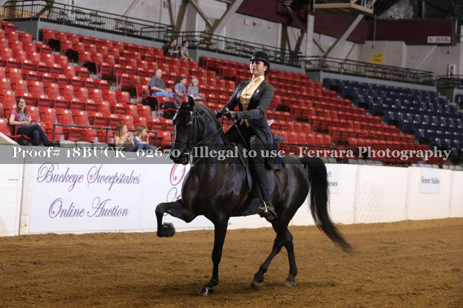 Proof 18BUCK_02670