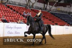 18BUCK_02670 proof