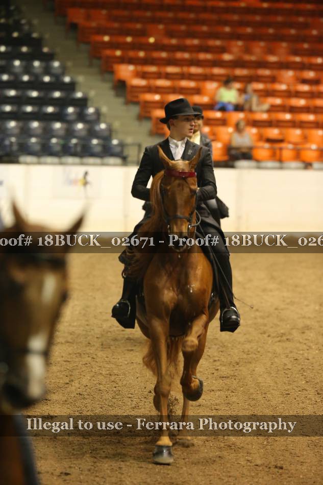 Proof 18BUCK_02671