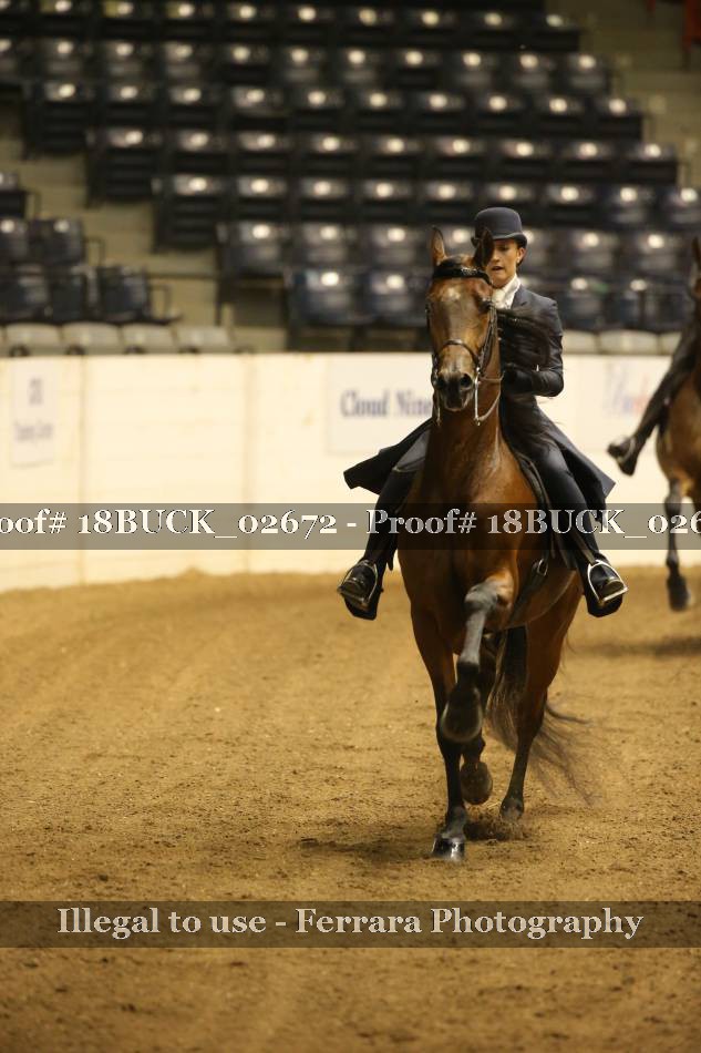 Proof 18BUCK_02672