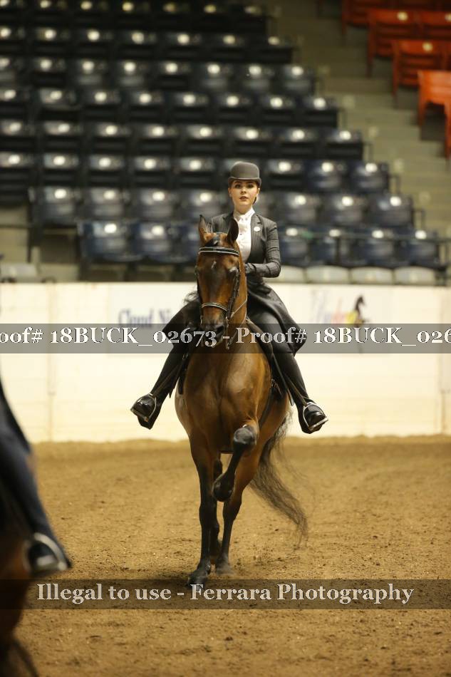 Proof 18BUCK_02673