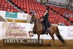 18BUCK_02674 proof