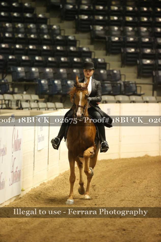 Proof 18BUCK_02675