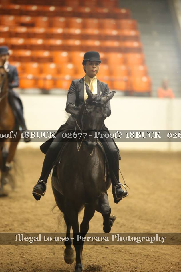 Proof 18BUCK_02677