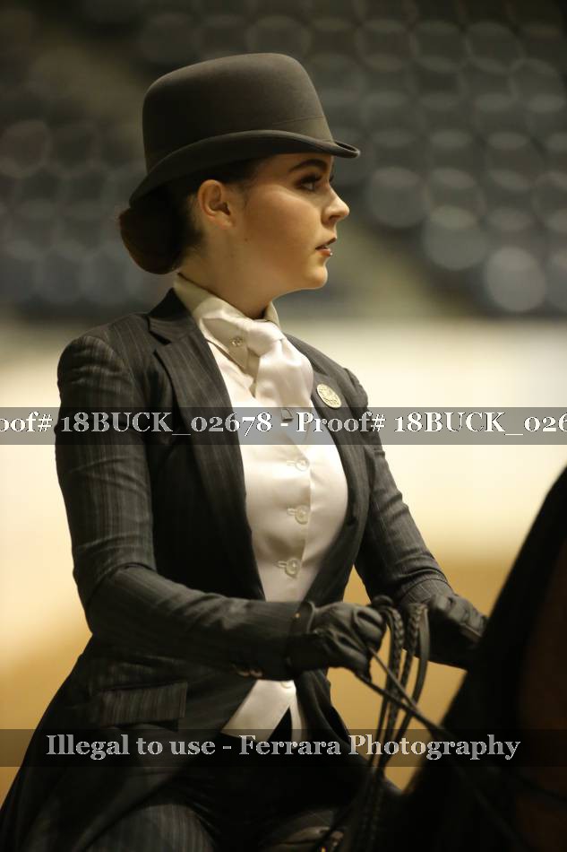 Proof 18BUCK_02678