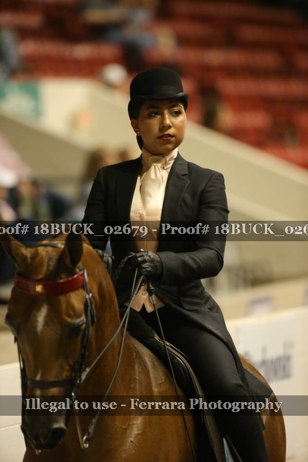 Proof 18BUCK_02679