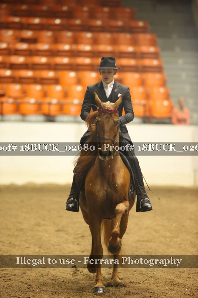 Proof 18BUCK_02680