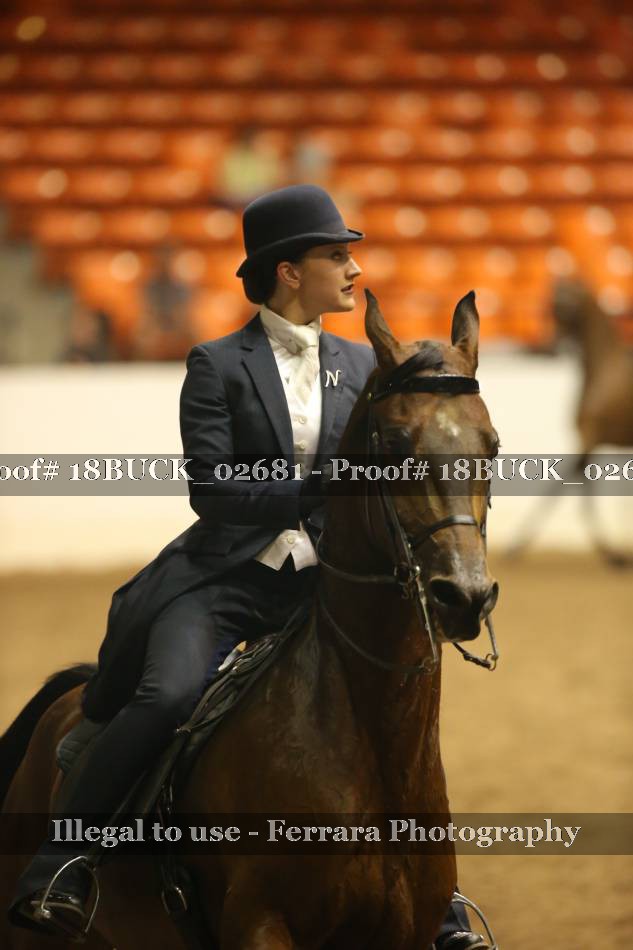 Proof 18BUCK_02681
