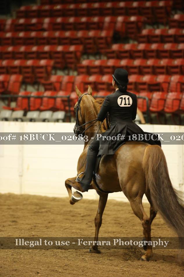 Proof 18BUCK_02683