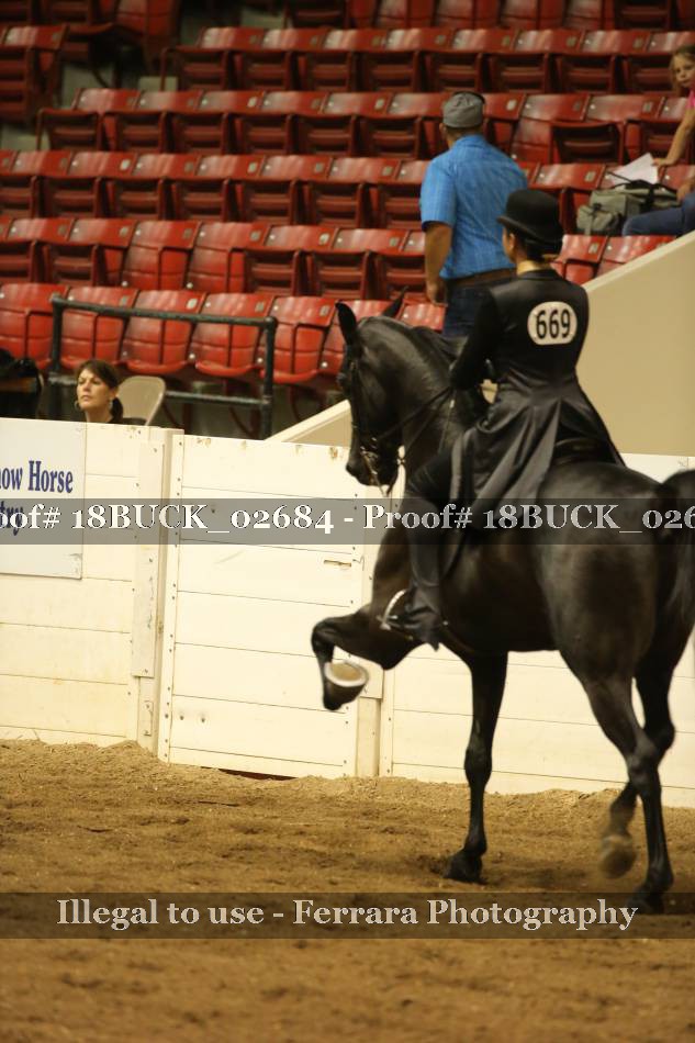 Proof 18BUCK_02684