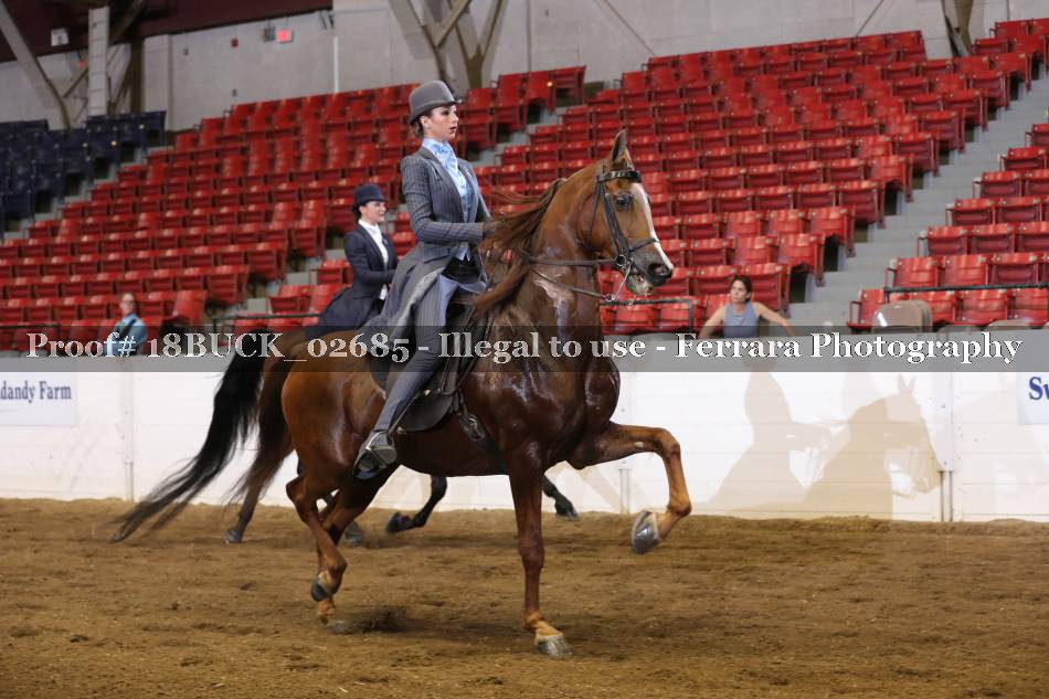 Proof 18BUCK_02685