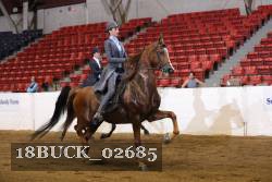 18BUCK_02685 proof
