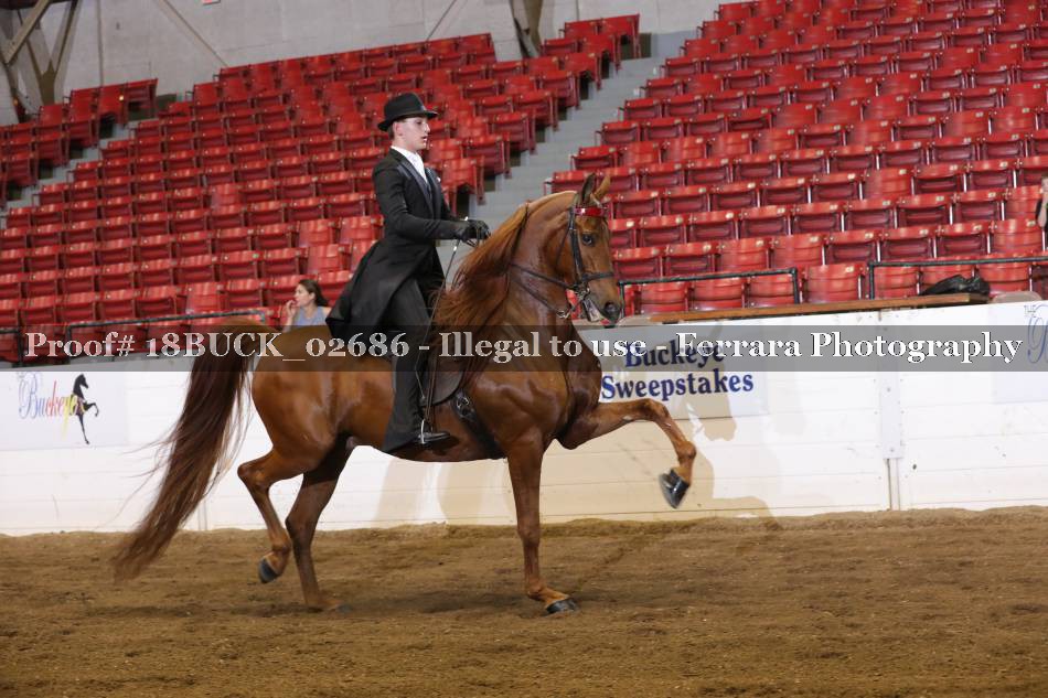 Proof 18BUCK_02686