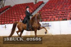 18BUCK_02686 proof
