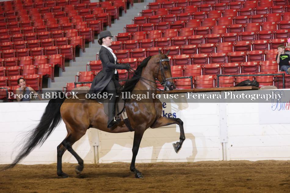 Proof 18BUCK_02687