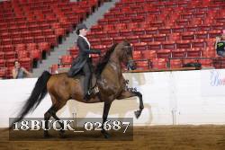 18BUCK_02687 proof