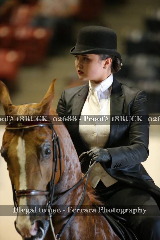Proof 18BUCK_02688