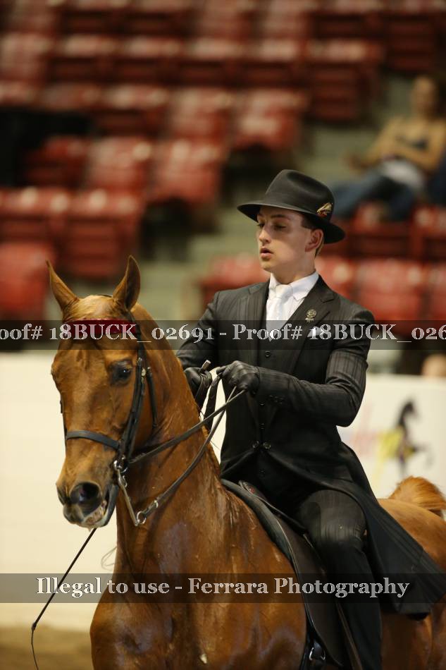 Proof 18BUCK_02691