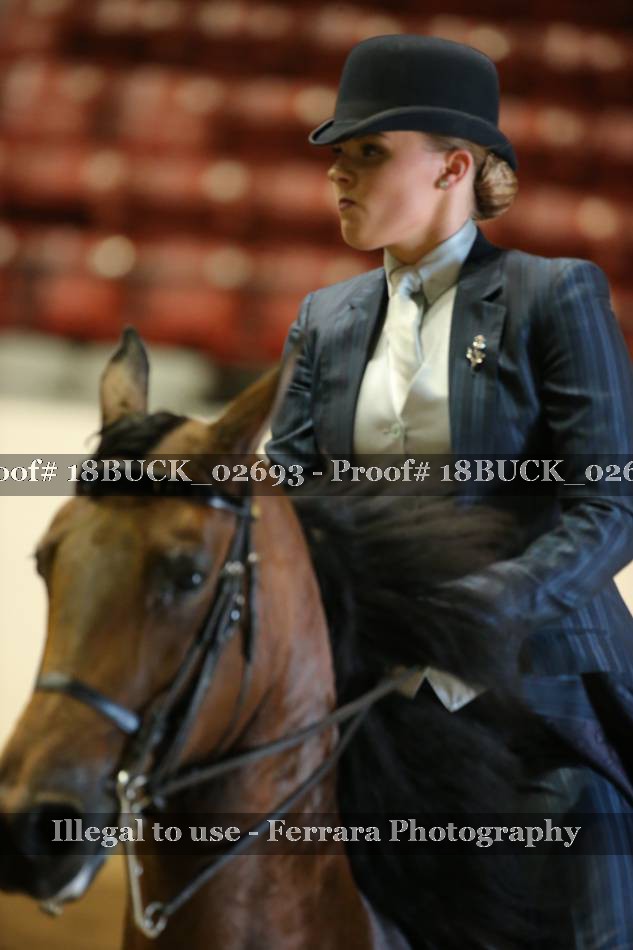 Proof 18BUCK_02693