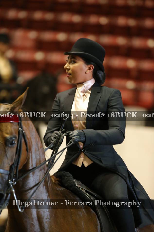 Proof 18BUCK_02694