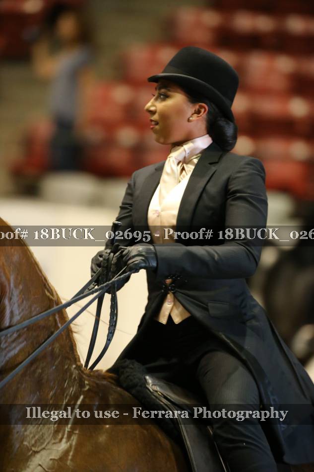 Proof 18BUCK_02695