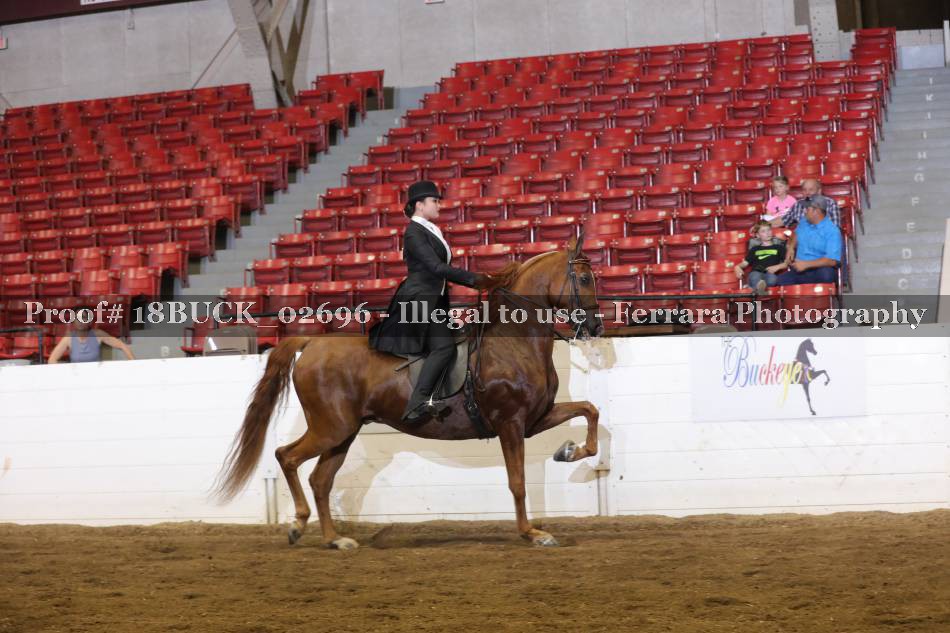 Proof 18BUCK_02696