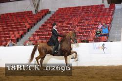 18BUCK_02696 proof