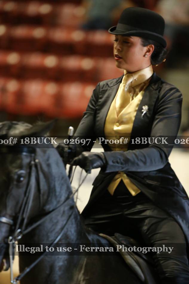 Proof 18BUCK_02697