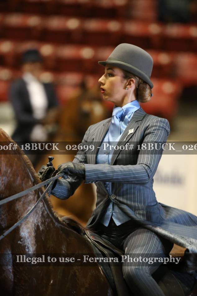 Proof 18BUCK_02699