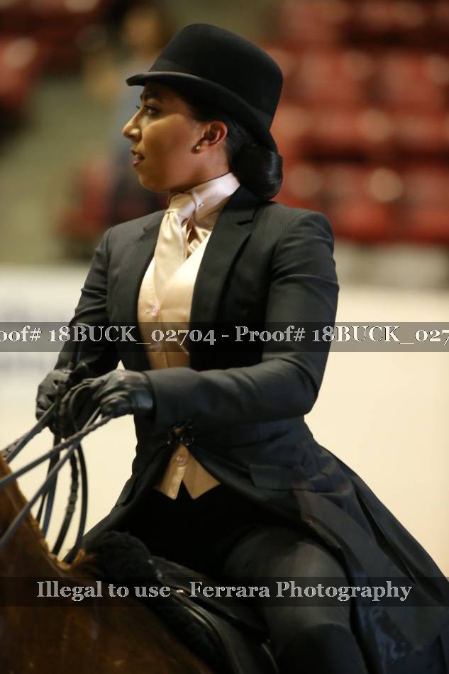 Proof 18BUCK_02704