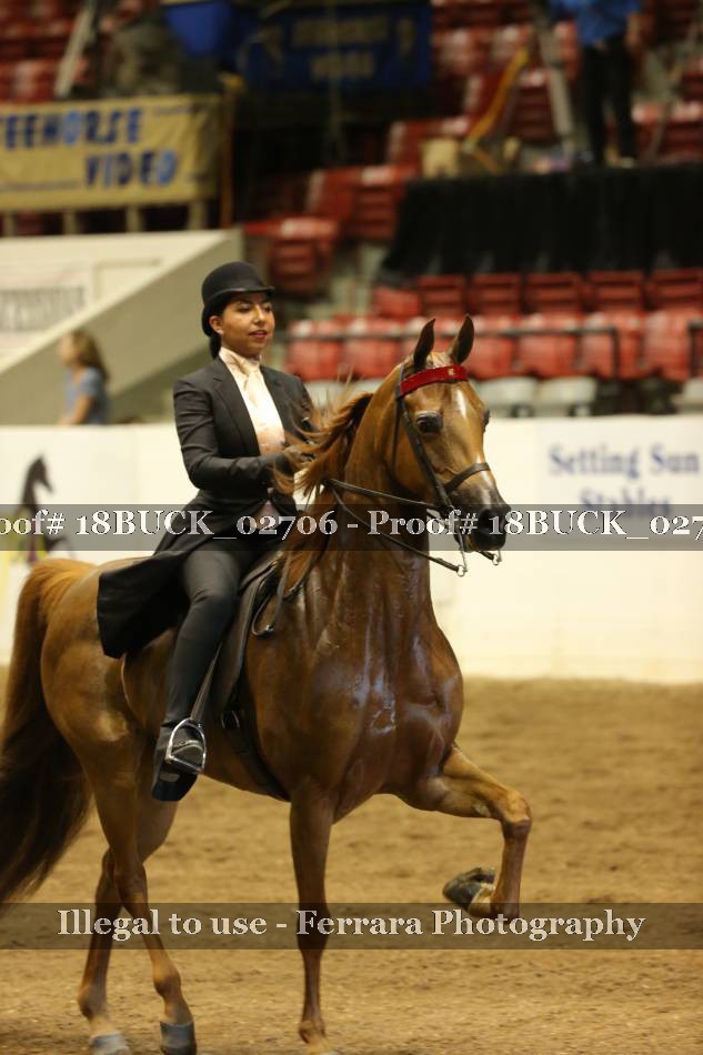 Proof 18BUCK_02706