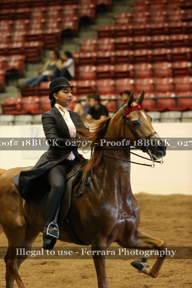 Proof 18BUCK_02707
