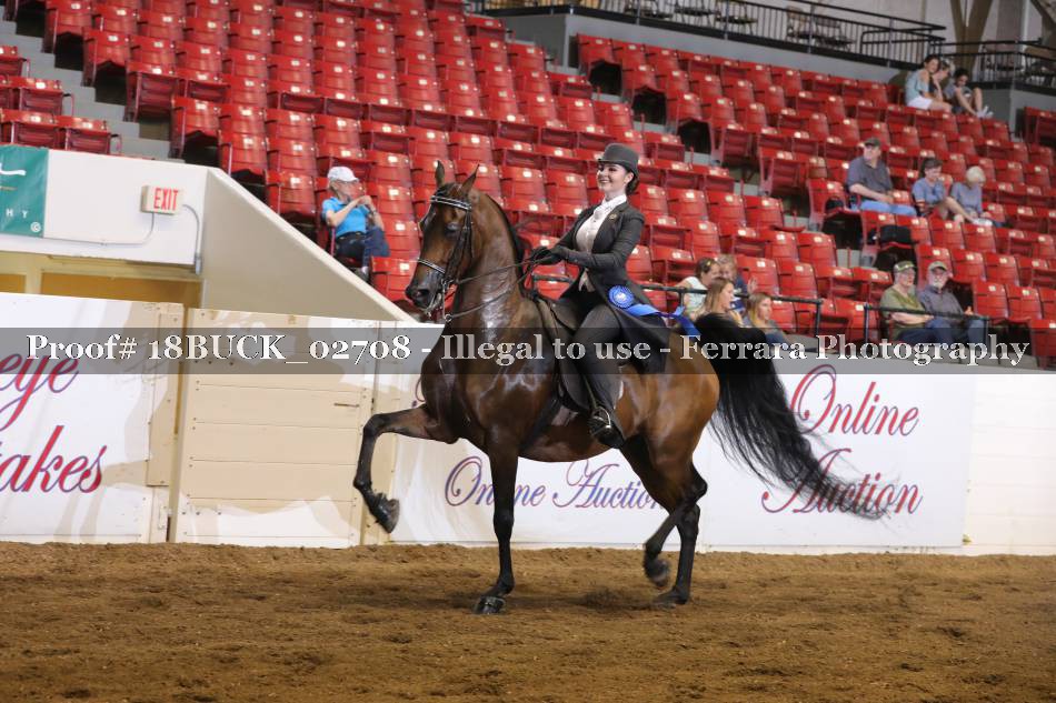 Proof 18BUCK_02708