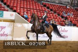 18BUCK_02708 proof