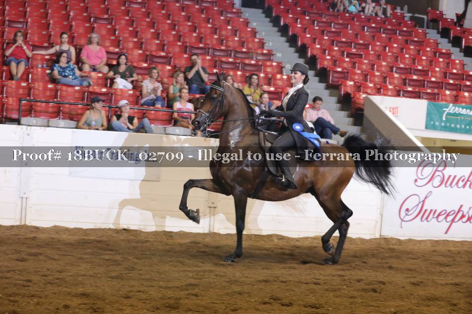 Proof 18BUCK_02709