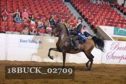 18BUCK_02709 proof