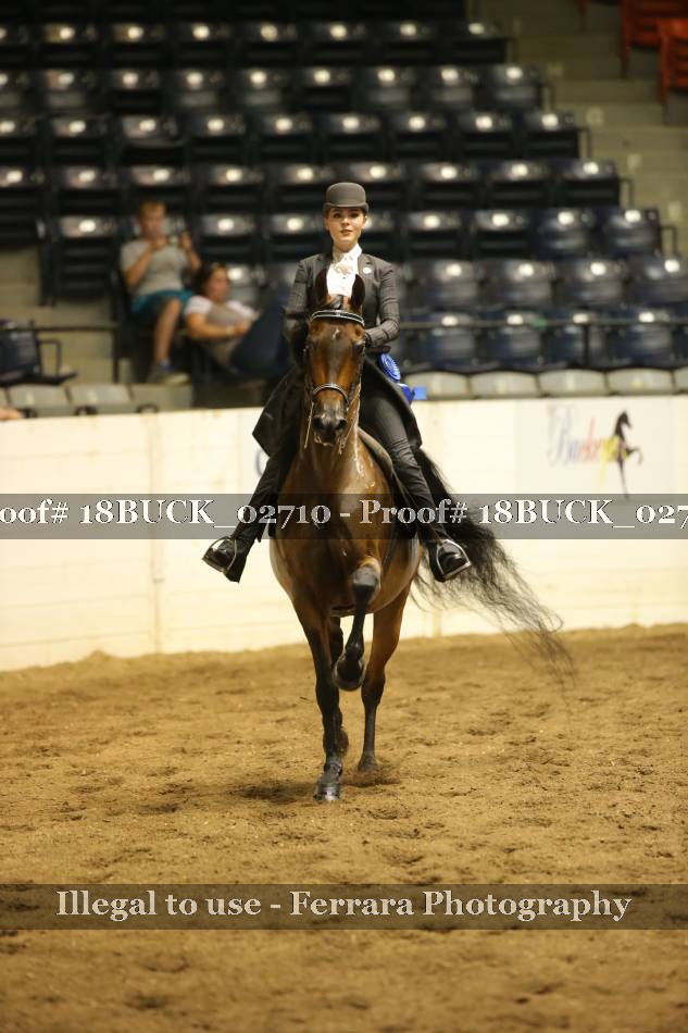 Proof 18BUCK_02710