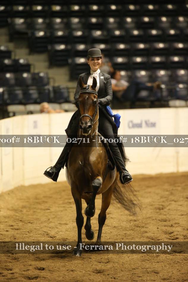 Proof 18BUCK_02711
