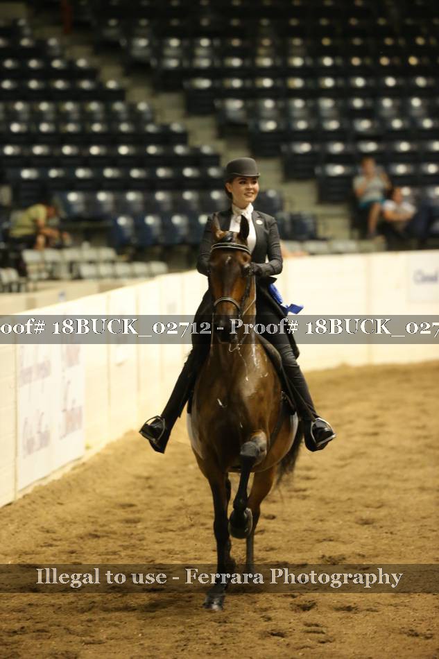 Proof 18BUCK_02712