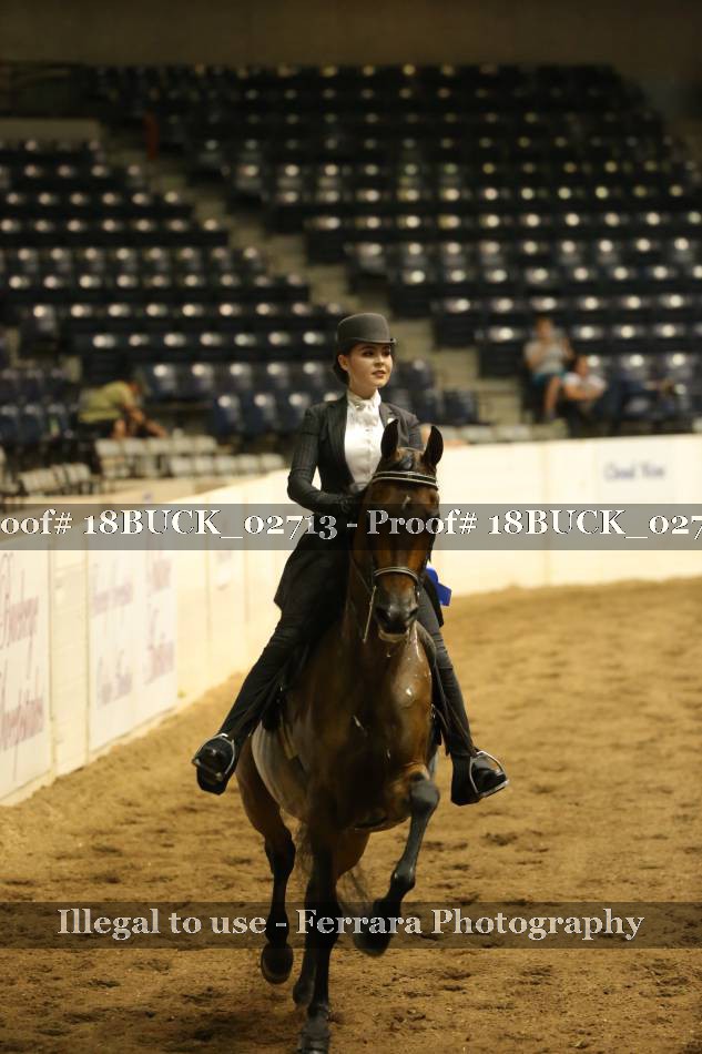 Proof 18BUCK_02713