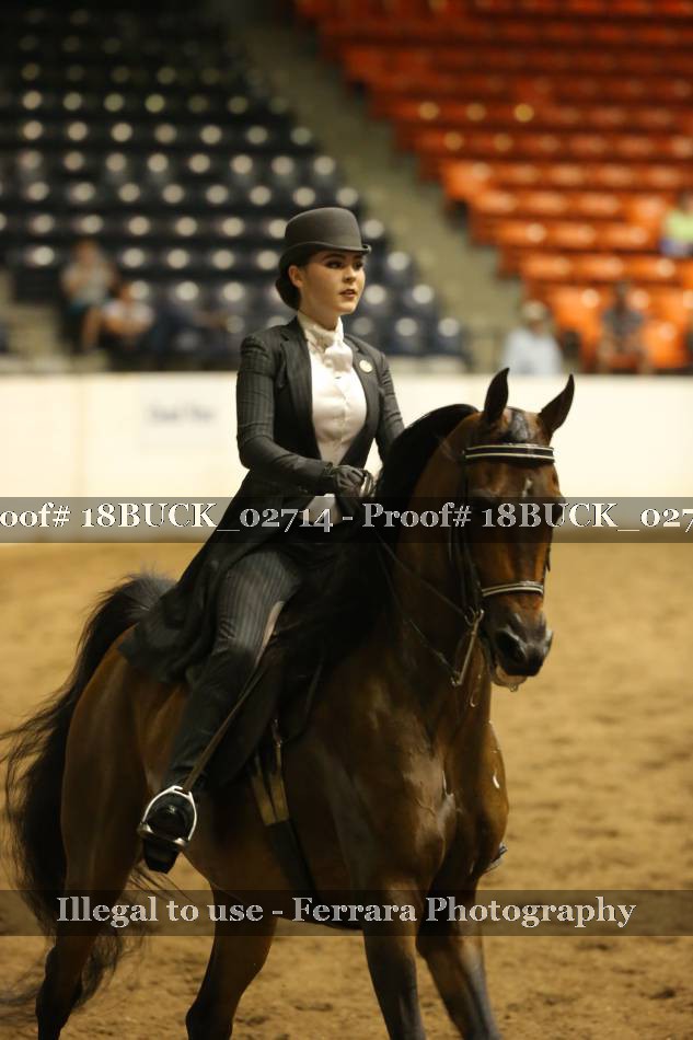 Proof 18BUCK_02714