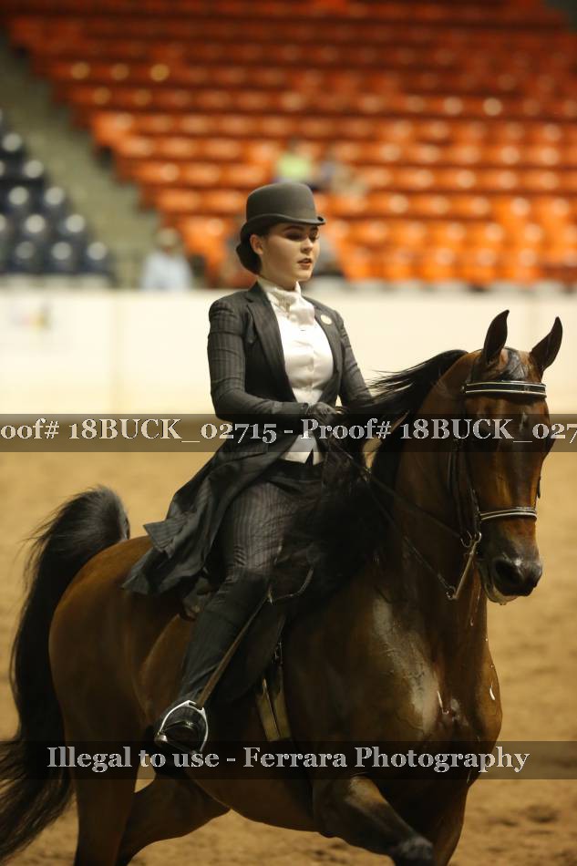 Proof 18BUCK_02715