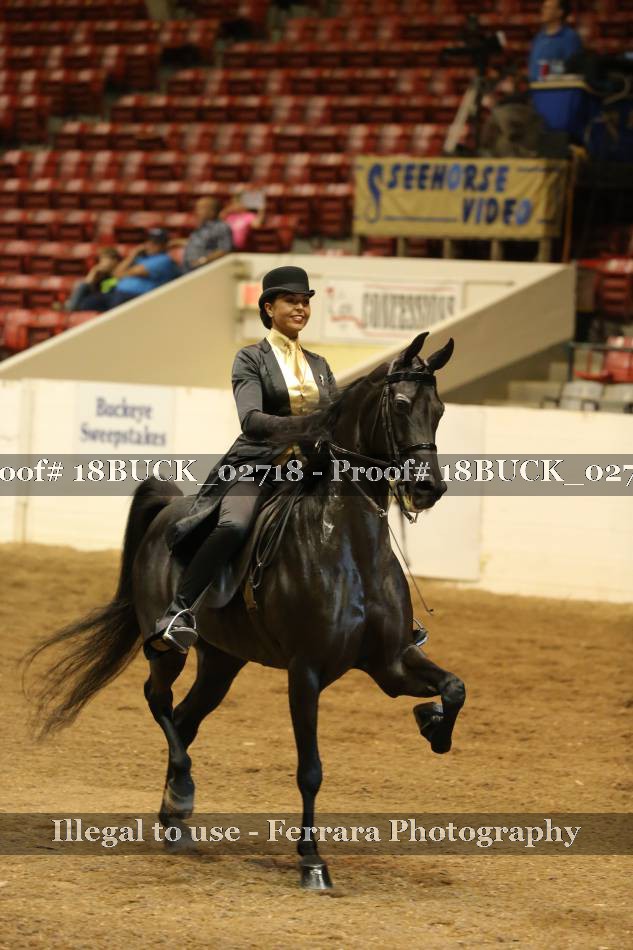 Proof 18BUCK_02718