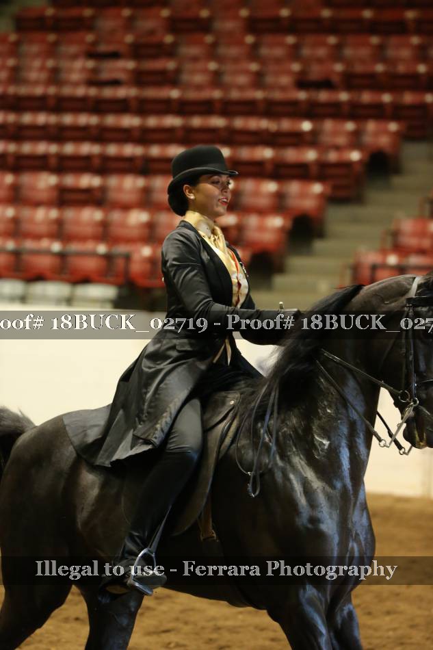 Proof 18BUCK_02719