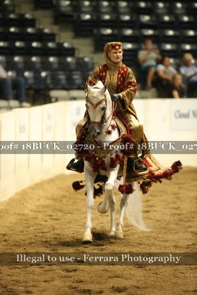 Proof 18BUCK_02720