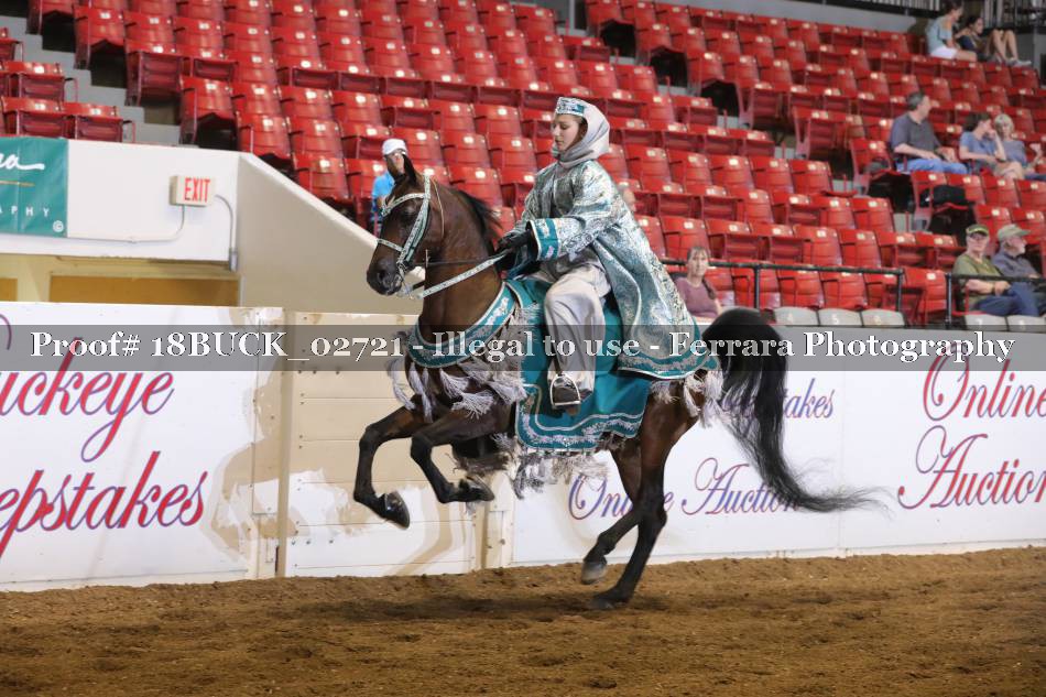 Proof 18BUCK_02721